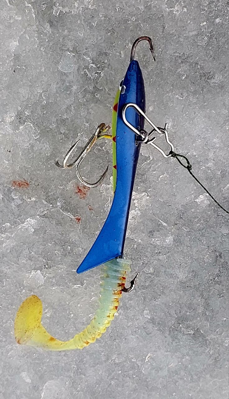 WhatsApp Image 2025-11-22 at 18.23.46.jpeg