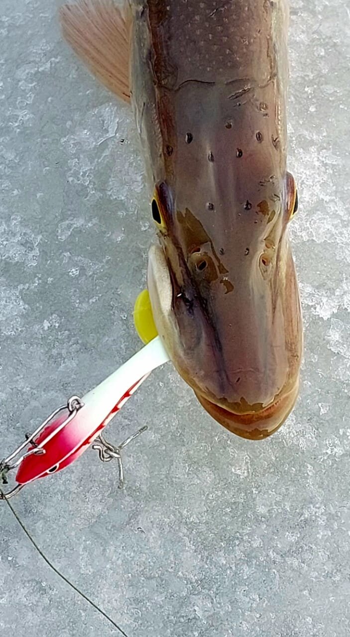 WhatsApp Image 2025-11-22 at 18.23.47.jpeg