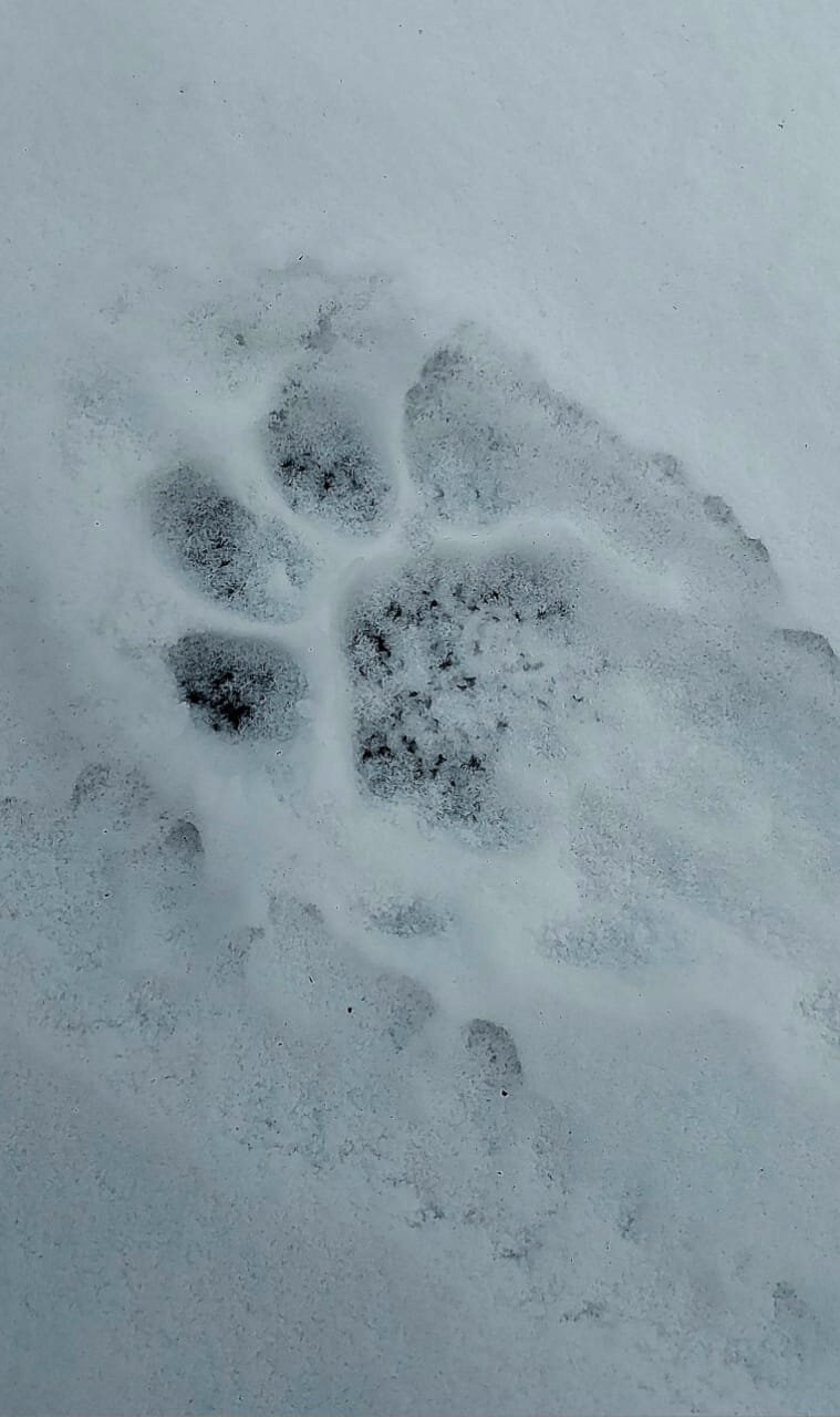 WhatsApp Image 2025-11-22 at 18.23.49.jpeg