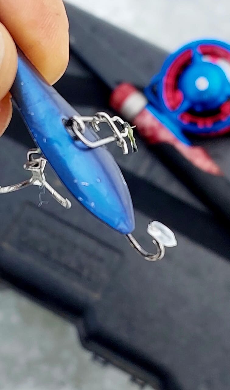 Да здравствует сезон 2026