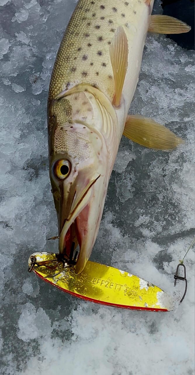 WhatsApp Image 2025-11-30 at 16.30.22 (1).jpeg