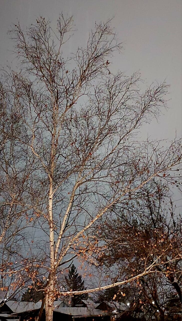 WhatsApp Image 2025-11-30 at 16.30.20.jpeg