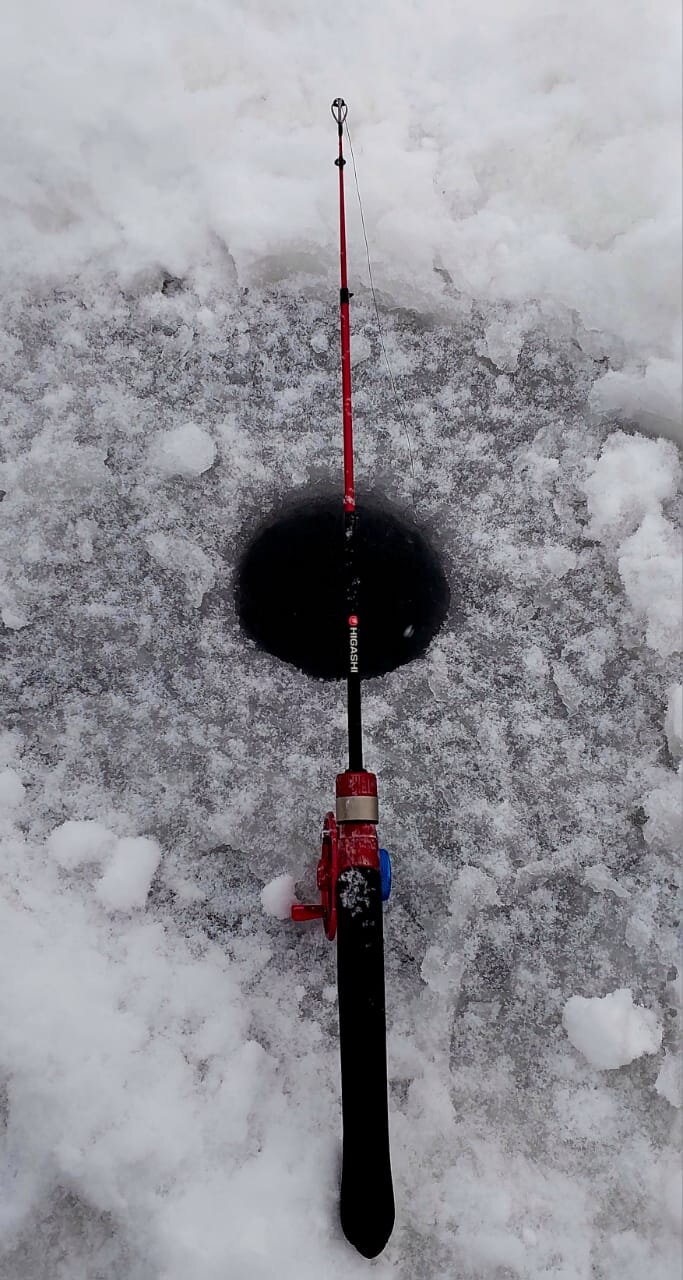 WhatsApp Image 2025-11-30 at 16.30.21.jpeg